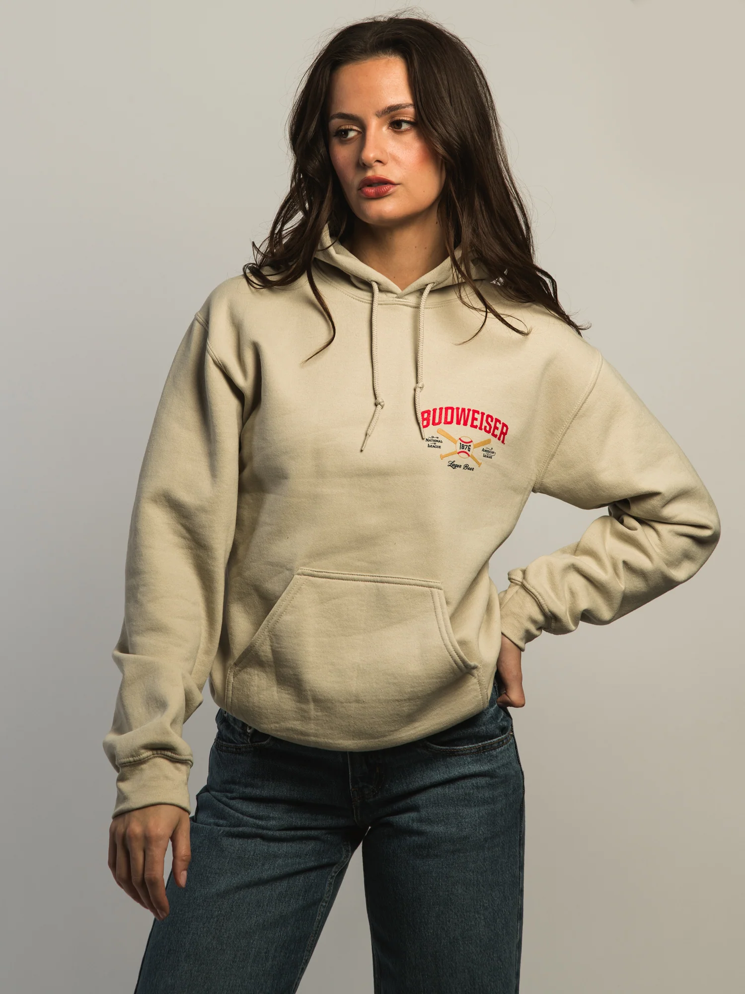 BUDWEISER CLYDESDALE PULLOVER HOODIE - Image 6