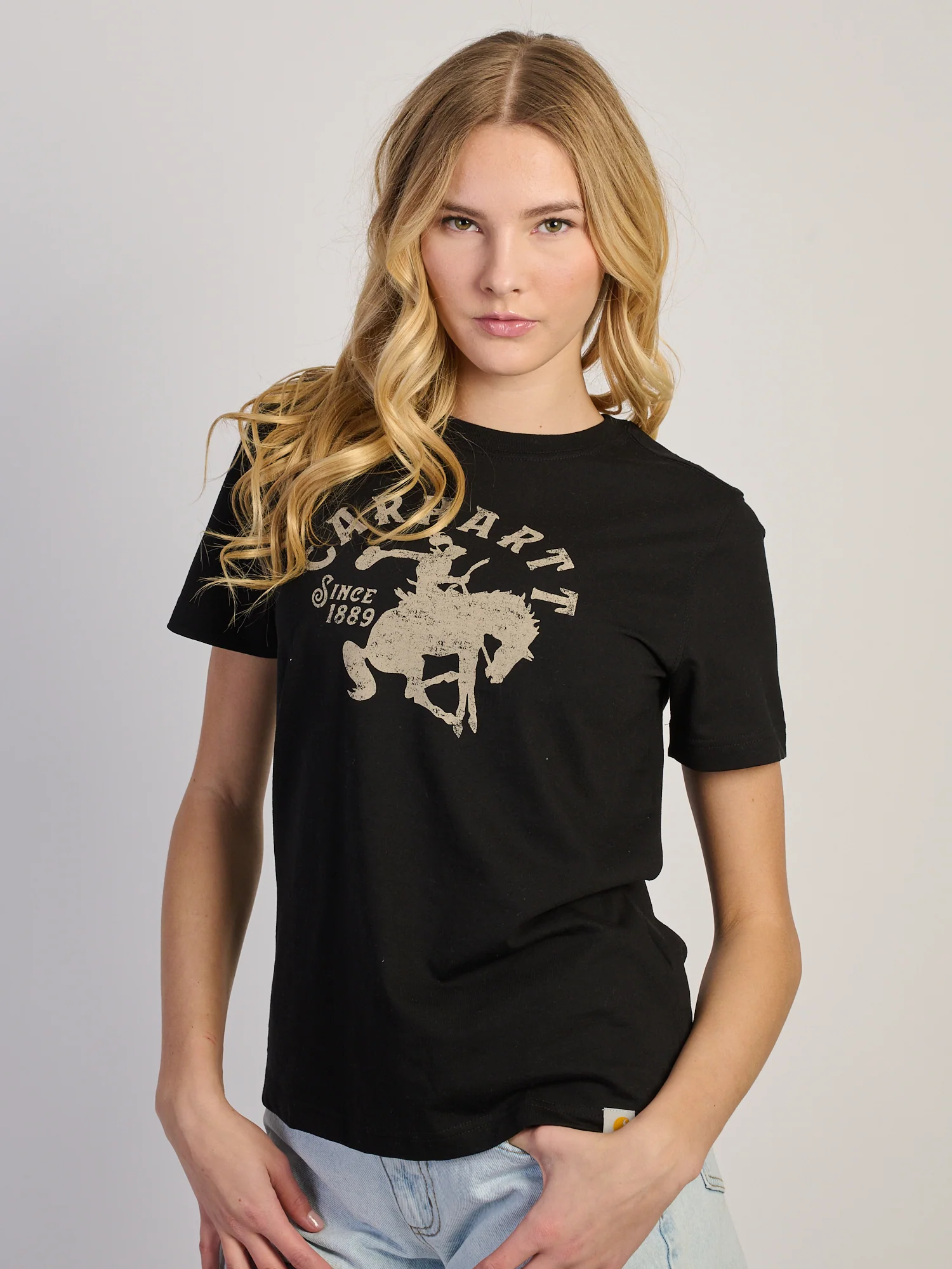 CARHARTT IRVINE RELAXED HORSE TEE - Image 2