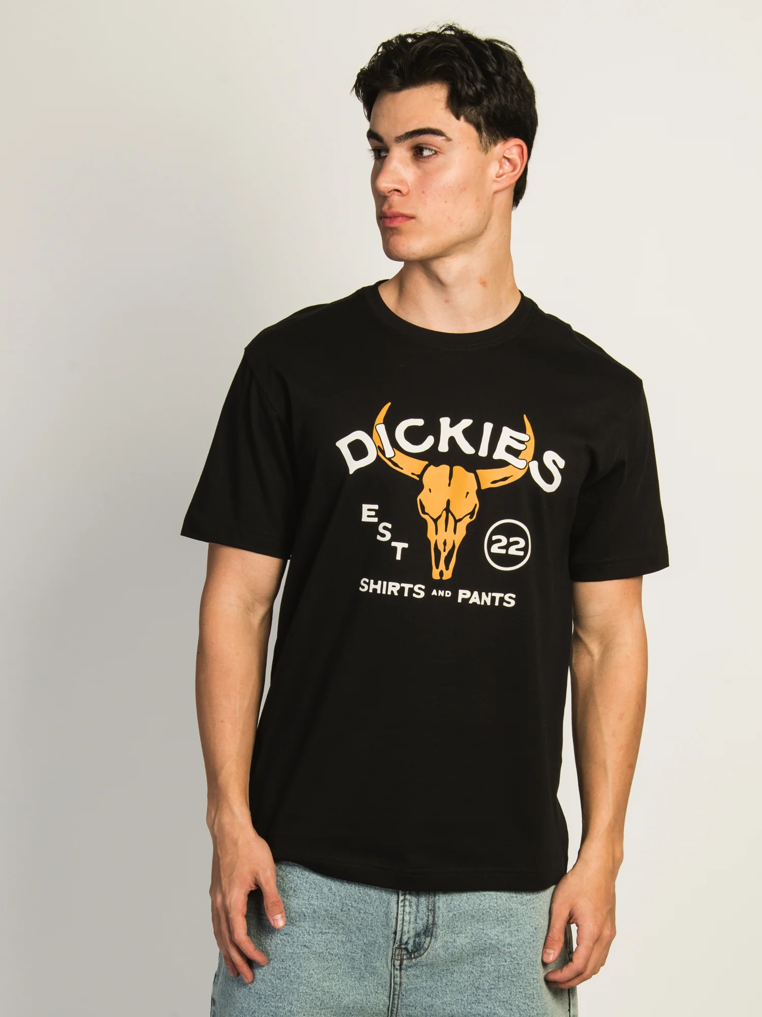 DICKIES DESERT T-SHIRT - Image 2