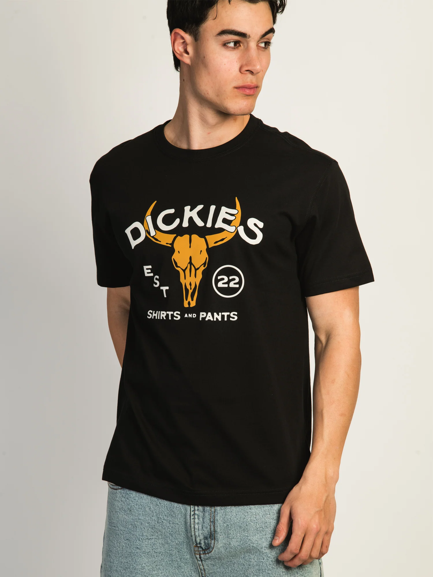 DICKIES DESERT T-SHIRT - Image 5