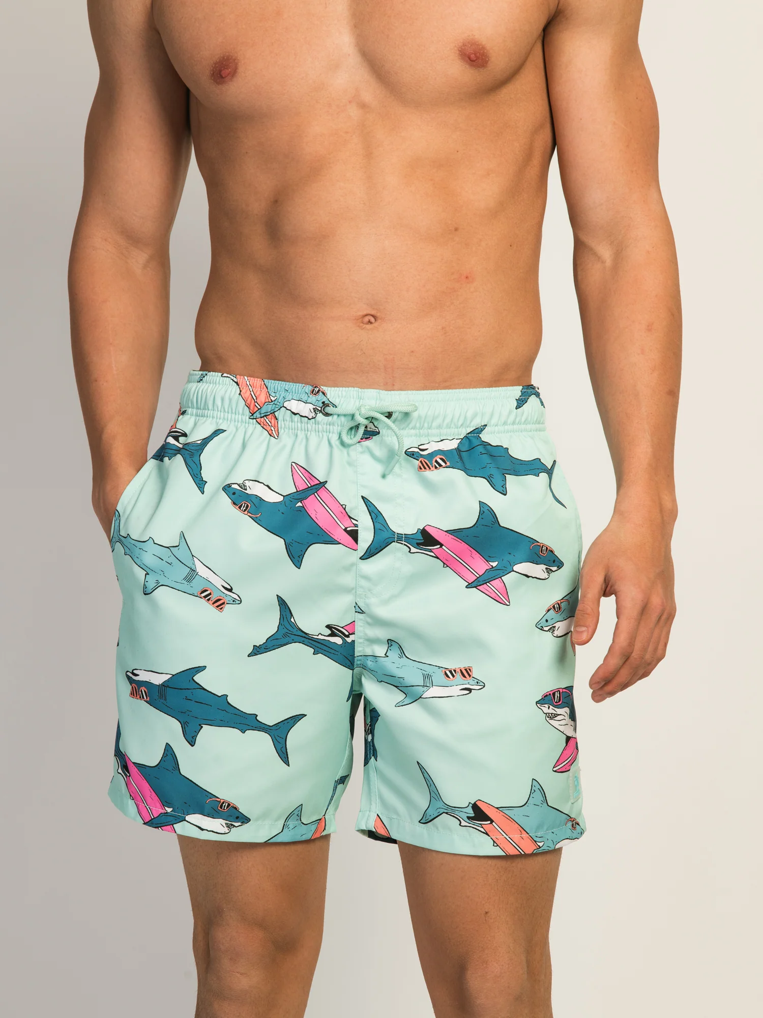 ISLAND HAZE SURFING SHARK 5IN VOLLEY SHORT - AQUA - Image 2