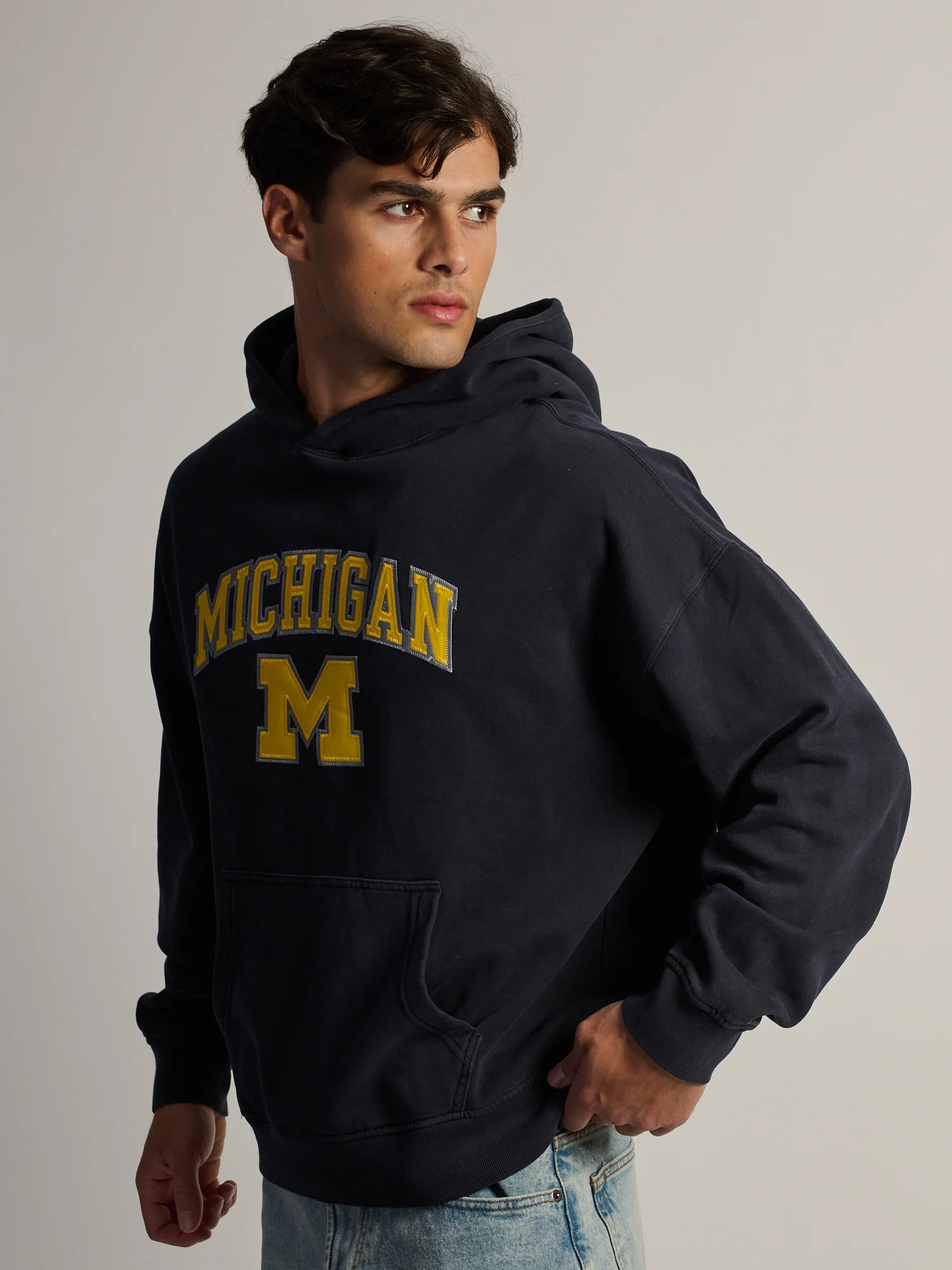 MICHIGAN APLQ PULLOVER HOODIE - MARIN - Image 4