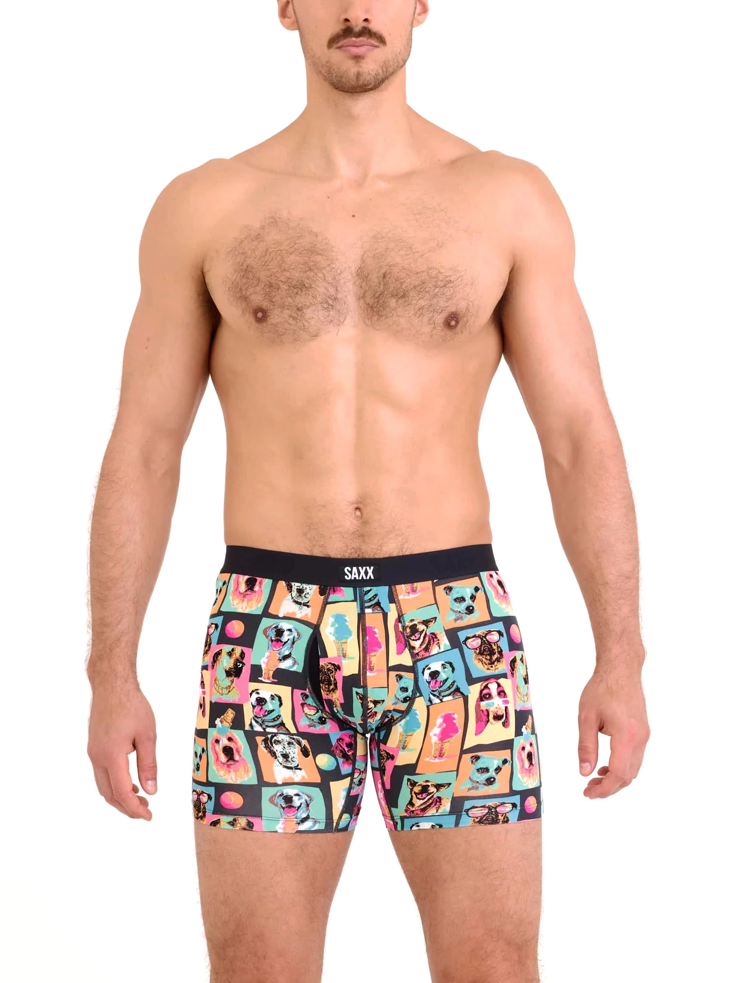 SAXX VIBE SUMMER DOGS OF SAXX BOXER BRIEF - Image 2
